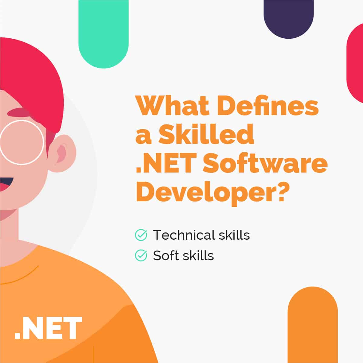 What defines a skilled .NET software developer?